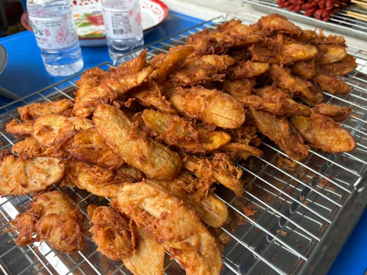 catalogs_file_127_13_15_445300.webp